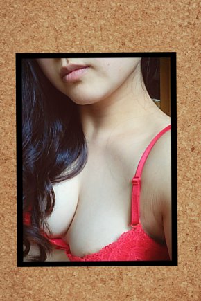 ぽみちゃむの写真