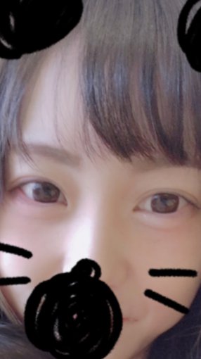 しろたむの写真