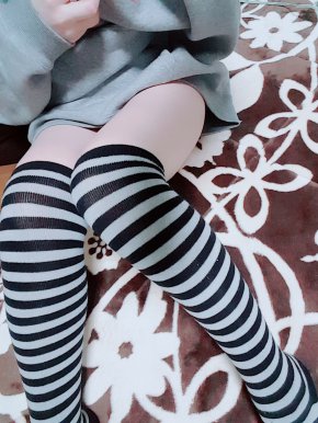 ここちゃん。の写真